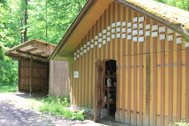 Rundwanderung im Wald bei den Limpurger Bergen