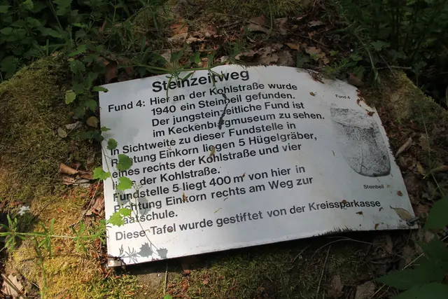 Rundwanderung im Wald bei den Limpurger Bergen