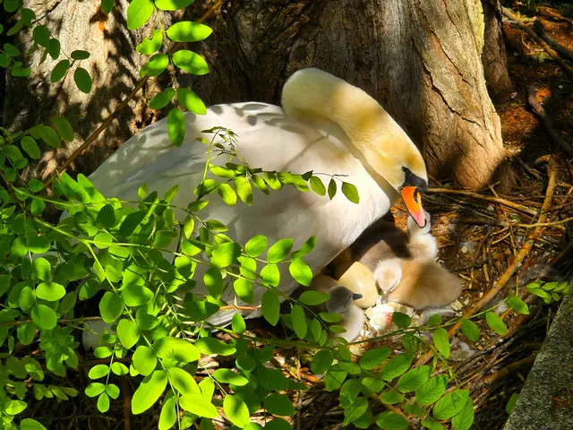 Foto: Heidrun Rosenberger