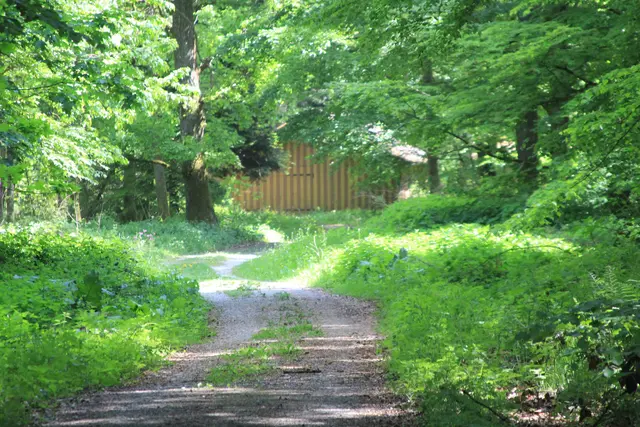 Rundwanderung im Wald bei den Limpurger Bergen