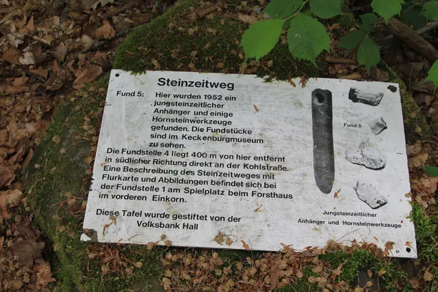 Rundwanderung im Wald bei den Limpurger Bergen
