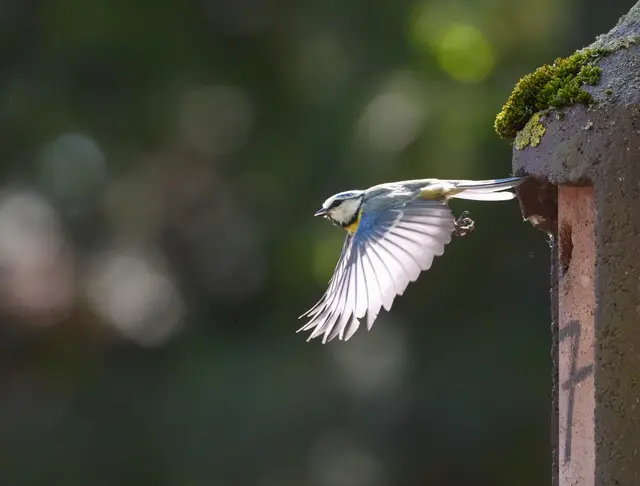 Foto: Moni Bordt