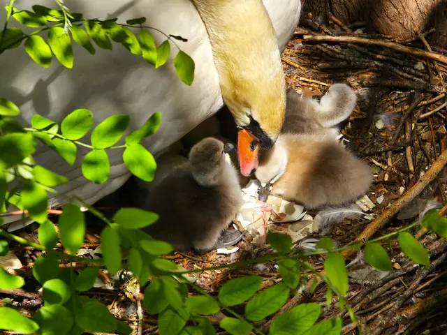 Foto: Heidrun Rosenberger