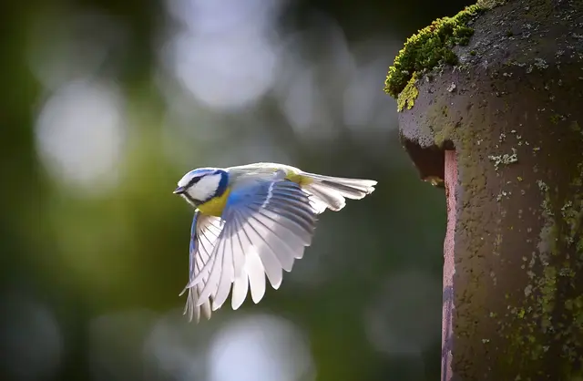 Foto: Moni Bordt