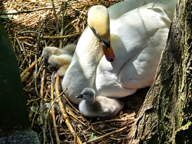 Foto: Heidrun Rosenberger