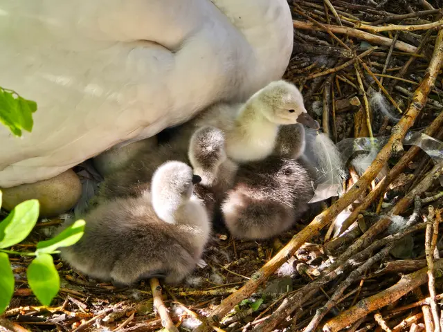 Foto: Heidrun Rosenberger
