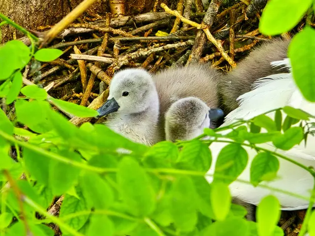 Foto: Heidrun Rosenberger