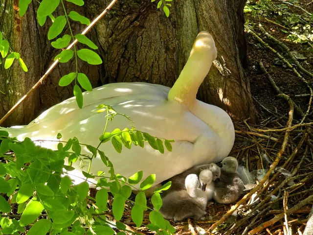 Foto: Heidrun Rosenberger