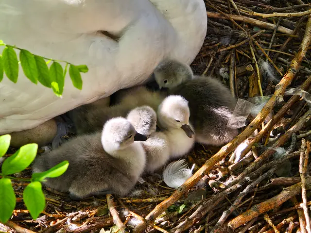 Foto: Heidrun Rosenberger