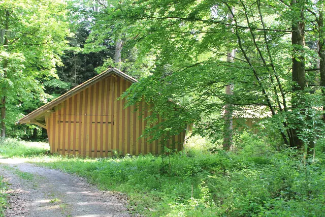 Rundwanderung im Wald bei den Limpurger Bergen