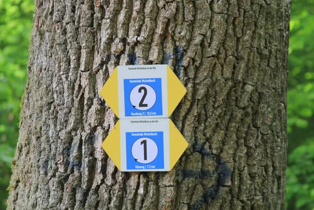 Rundwanderung im Wald bei den Limpurger Bergen