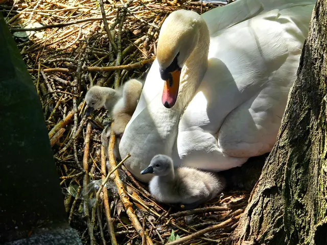 Foto: Heidrun Rosenberger