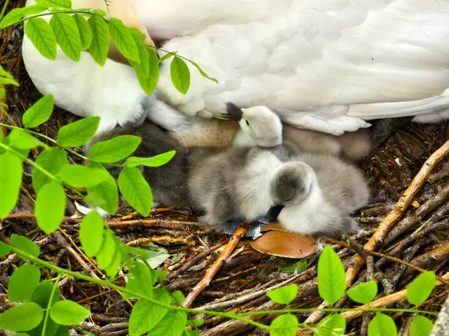 Foto: Heidrun Rosenberger