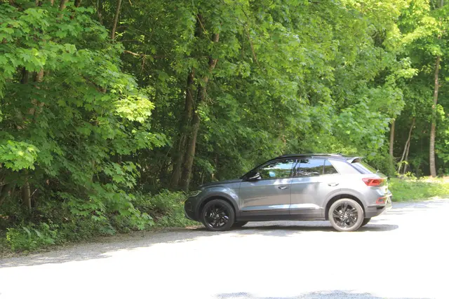 Rundwanderung im Wald bei den Limpurger Bergen