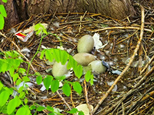 Foto: Heidrun Rosenberger