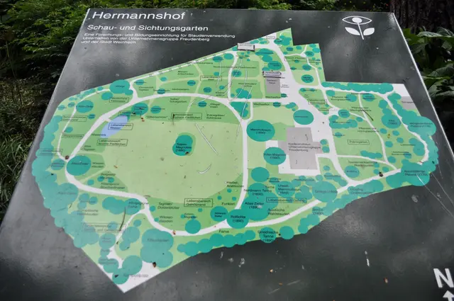 Ein Plan damit man sich ein bisschen orientieren kann. | Foto: Daniela Somers