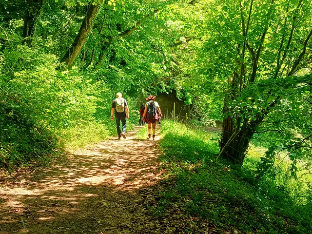 Bequeme Waldwege führen uns hinab.  | Foto: sigischlottke