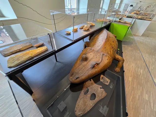 Ausstellungsstücke im Museum