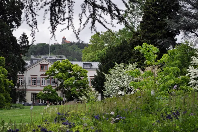 Immer wieder leuchtet der Blumen-Hartriegel. | Foto: Daniela Somers