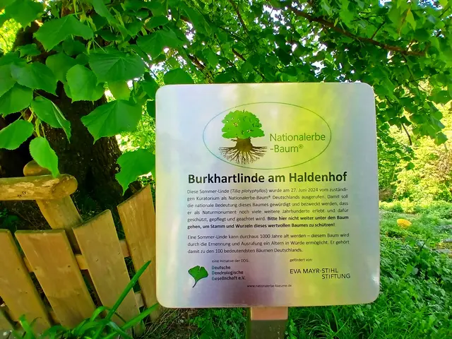 Foto: sigischlottke