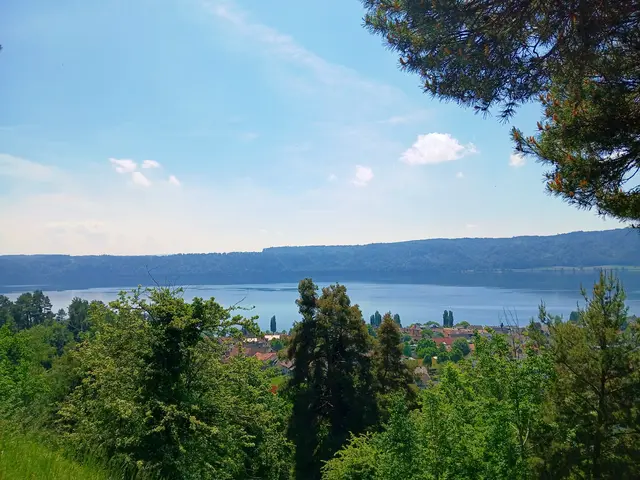 Über den Dächern von Sipplingen. Der ganze Anblick wirkt schon fast mediterran.  | Foto: sigischlottke
