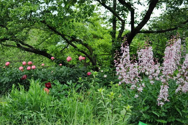 Hier passt alles zusammen. | Foto: Daniela Somers