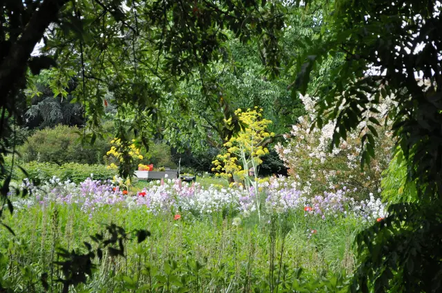 Blick auf eines der Beete. | Foto: Daniela Somers