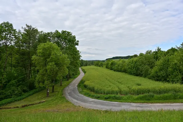 Der Weg ins Autal, den wir aber nicht gegangen sind. | Foto: Michael Harmsen