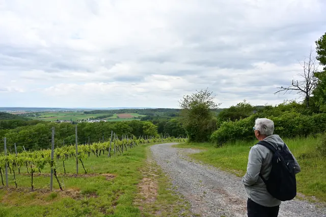 Auf der anderen Seite des Spitalbergs war die Aussicht auch nicht schlecht. Im Vordergrund Oberheinriet. | Foto: Michael Harmsen