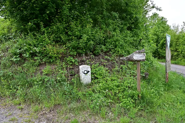 Der alte Postweg ist ziemlich zugewachsen. | Foto: Michael Harmsen