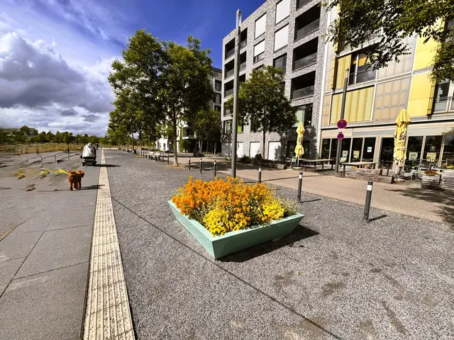 Foto: Heide Böllinger aus Bad Friedrichshall