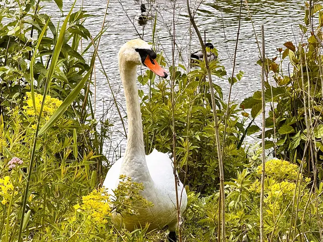 Foto: Heide Böllinger aus Bad Friedrichshall
