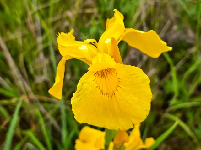 Foto: Heidrun Rosenberger