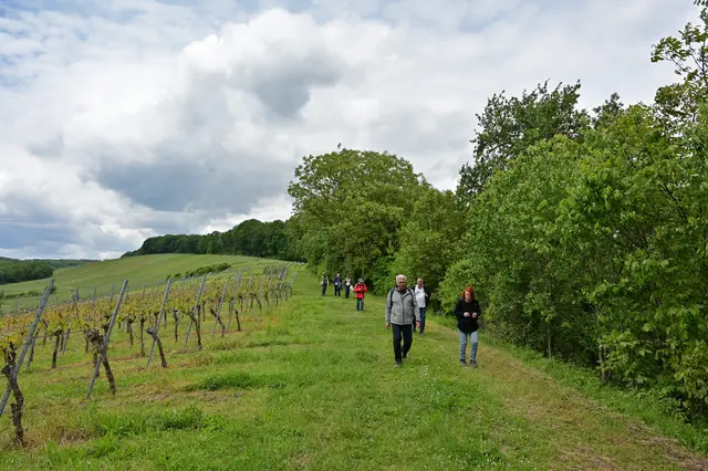 Oberhalb des Autals geht es Richtung Parkpatz. | Foto: Michael Harmsen