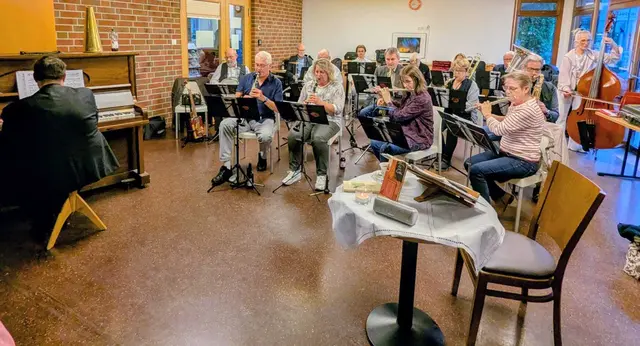Die Musiker des Neckarsulmer Salonorchesters beim Musizieren. | Foto: QZ-MGH