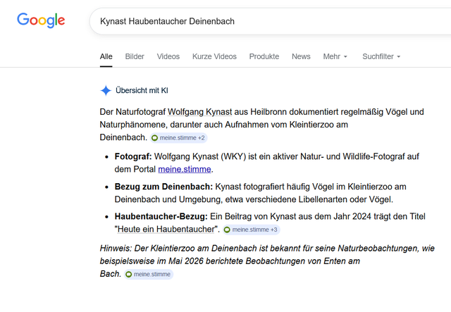 Screenshot | Foto: WKY