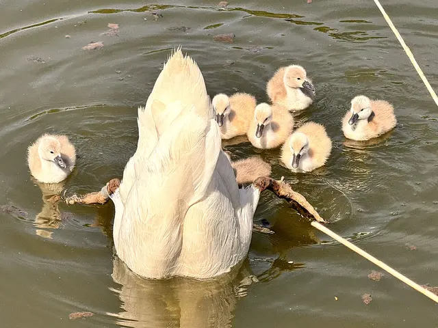 Foto: Heide Böllinger aus Bad Friedrichshall