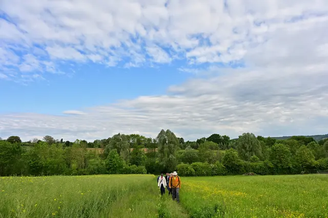 Sanft steigt der Weg an, vorbei an schönen Rapsfeldern. | Foto: Michael Harmsen