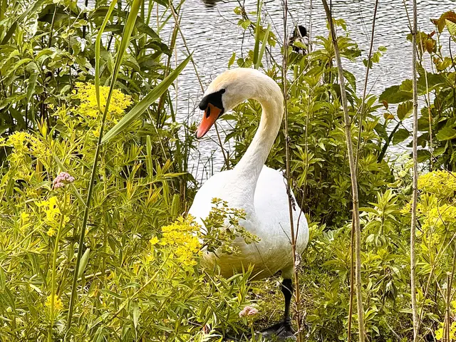 Foto: Heide Böllinger aus Bad Friedrichshall