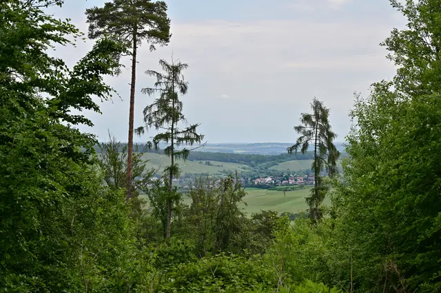 Das Fenster ins Sulmtal. | Foto: Michael Harmsen