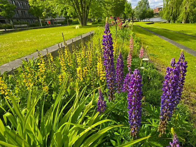 Foto: Heidrun Rosenberger