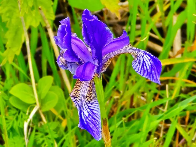 Foto: Heidrun Rosenberger