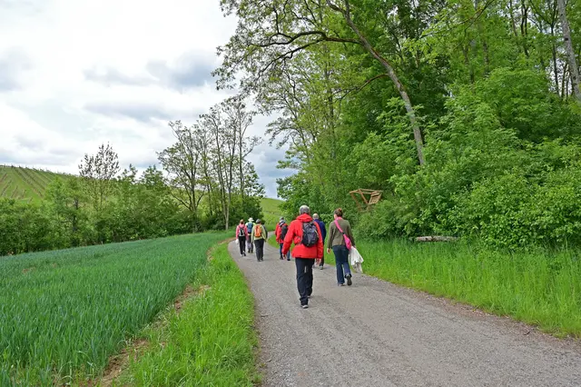 Nun geht es vorbei am Föhrenberg. | Foto: Michael Harmsen