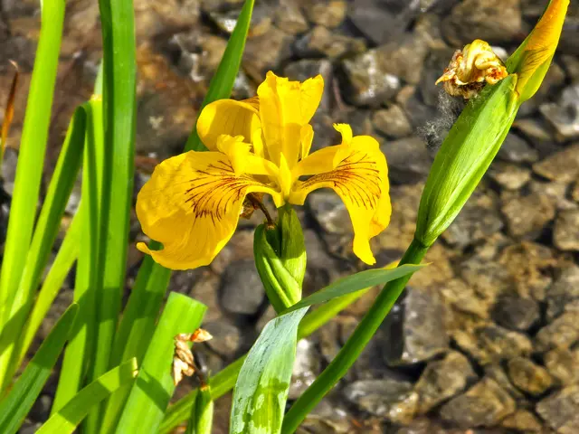 Foto: Heidrun Rosenberger