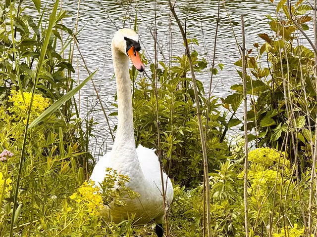 Foto: Heide Böllinger aus Bad Friedrichshall