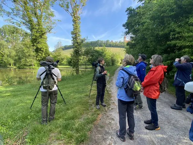 Spannende Einblicke in die Vogelwelt vermittelte Johanna Körner von der OAG Heilbronn beim Morgenspaziergang des NABU Brackenheim | Foto: Ute Frank