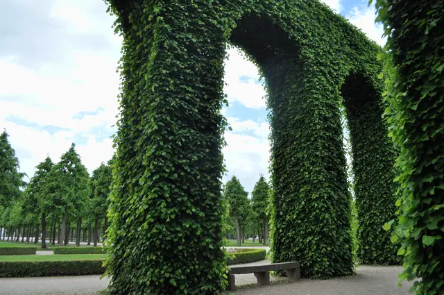 Schlosspark Schwetzingen Arkadenallee
