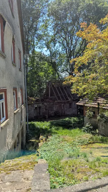 Foto: Volker Wagner