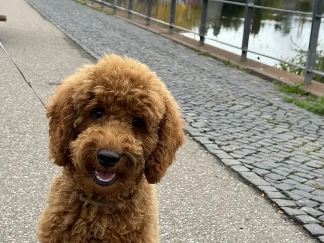 Foto: Heide Böllinger aus Bad Friedrichshall