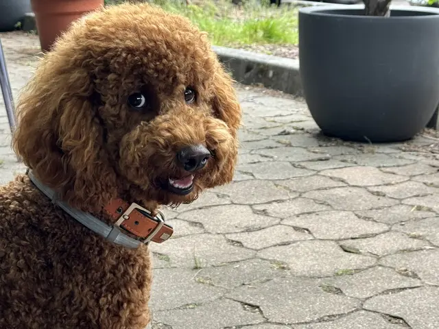 Foto: Heide Böllinger aus Bad Friedrichshall